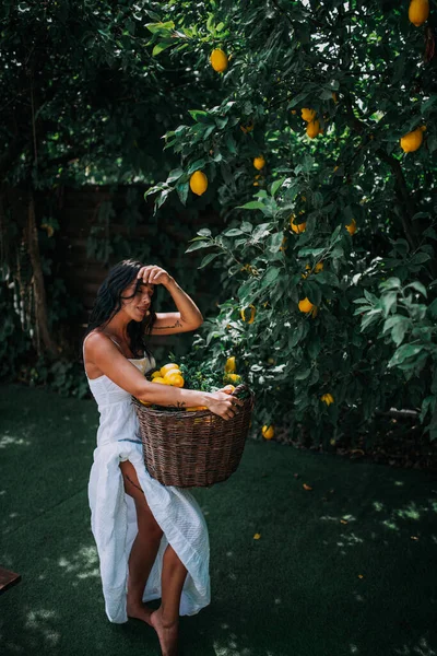 Jovem Mulher Bonita Com Cesta Cheia Limões — Fotografia de Stock