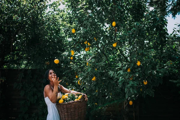 Mulher Feliz Com Cesta Cheia Limões — Fotografia de Stock