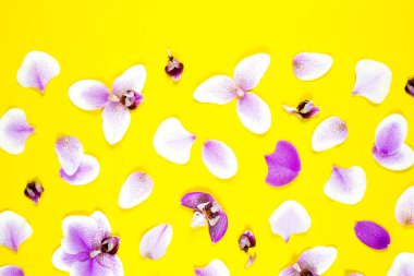 Sarı arkaplanı aydınlatan mor orkide çiçek deseninin modern soyut yakın çekimi. Tropik çiçek desenleri. Bahçe dekorasyonu. Güzel yaz, bahar moda baskısı.