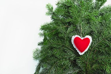 Yeşil köknar ağacındaki kırmızı tekstil kalbi beyaz arka planda izole edilmiş. Sevgililer Günü aşk sembolü, Noel süsleri. Kış doğal kırsal tebrik kartı, afiş sınır şablonu kopyalama alanı.