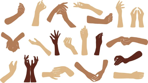 Жінки розмаїття рук. Елегантні жіночі руки різних жестів торкаються або тримають щось позу колекції . — стоковий вектор