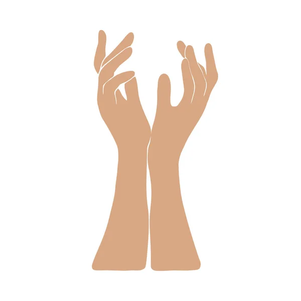 Δύο γυναίκες χέρια ελάχιστη εικόνα. Κομψή χειρονομία με γυναικεία χέρια. Ανθρώπινο δάχτυλο αγγίξει ή να κρατήσει κάτι θέτουν διάνυσμα — Διανυσματικό Αρχείο