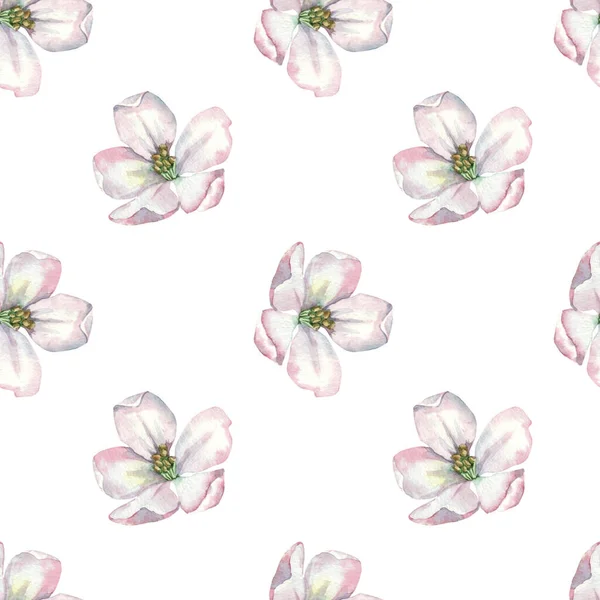 Floral seamless pattern for printing. Blooming apple tree. — Stock Photo, Image