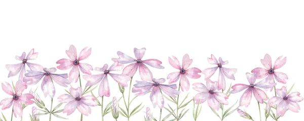 Ścieżka Akwarelowych Kwiatów Lilii Pąków Ziół — Zdjęcie stockowe
