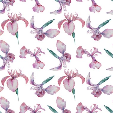 Pembe iris çiçeklerinin beyaz arka planda kusursuz deseni