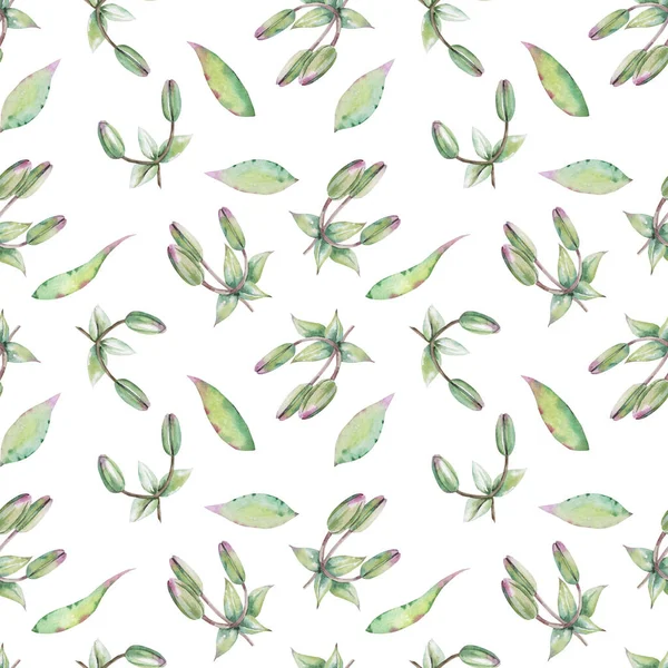 Akvarelové zelené pupeny lilií. Bezešvé vzory. — Stock fotografie