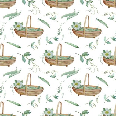 Kusursuz desenler. Suluboya çizim. Sepet ve bezelye.