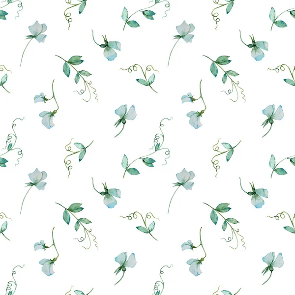 Kusursuz desenler. Suluboya çizim. Çiçekli yeşil bezelyeler.