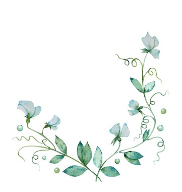 Suluboya çerçeve. Çiçekli ve tomurcuklu yeşil bezelyeler. Yazdır