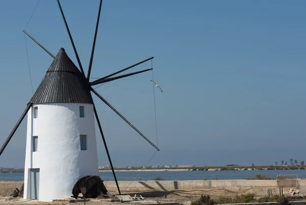Molino Calcetera San Pedro del Pinatar, Murcia, İspanya yel değirmeni