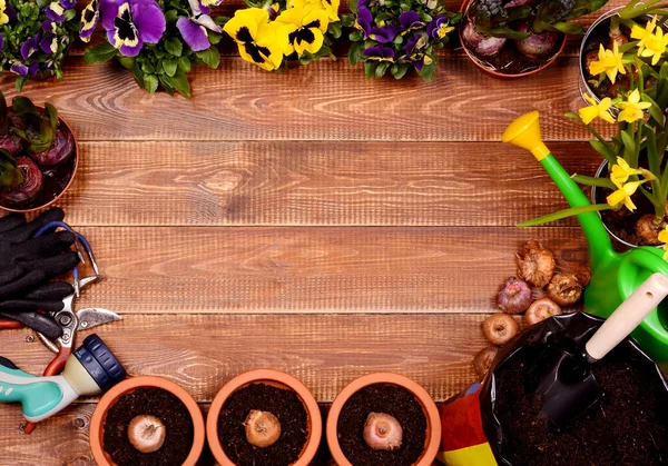 Ahşap masa üzerinde bahar çiçekleri ve bahçe araçları. 
