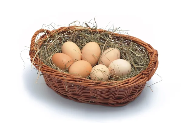 Organic eggs in the basket on the hay — Stok fotoğraf