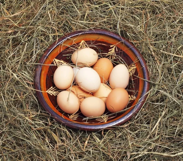 Eggs in a bowl on the hay