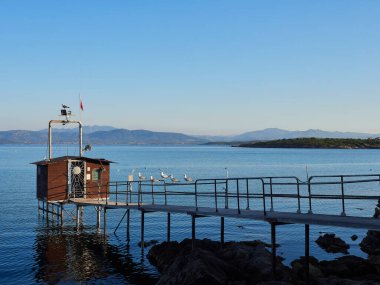 Cala Muz 'un bir resmi.