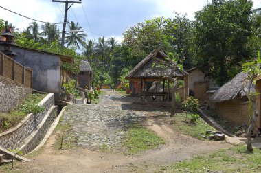 Pictures of an ancient indonesian village in Bali island