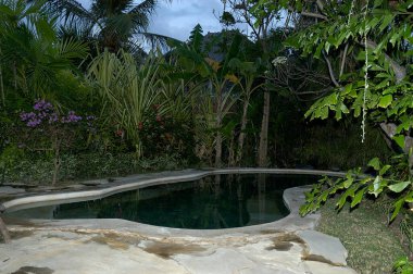 Doğayla çevrili güzel bir tatil köyünün resmi.