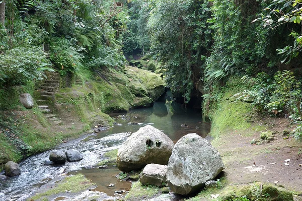 Picture River Bottom Canyon — Stock fotografie