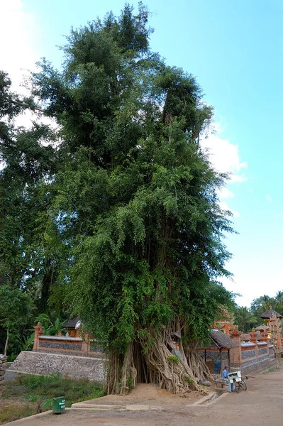 Pictures Ancient Indonesian Village Bali Island — Foto Stock