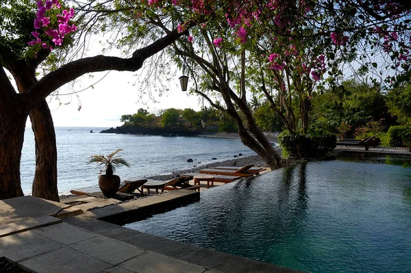 Doğayla Çevrili Güzel Bir Tatil Köyünün Resmi — Stok fotoğraf