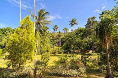 Doğayla çevrili güzel bir tatil köyünün resmi.