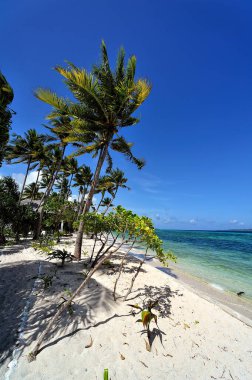 Doğayla çevrili güzel bir tatil köyünün resmi.