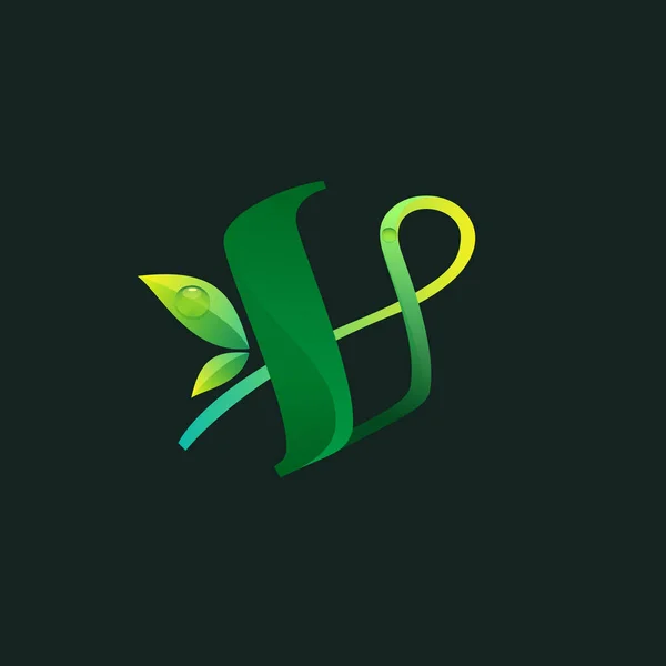 Logo Ekologi Huruf Dengan Daun Hijau Dan Embun Turun Ikon - Stok Vektor