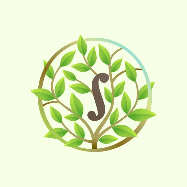 Levél Logó Készült Csavart Faágak Zöld Levelek Körben Ökológia Vektor — Stock Vector
