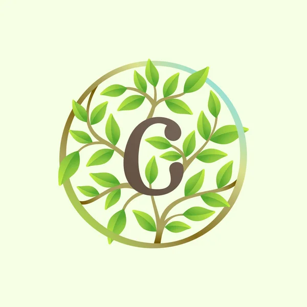 Betű Logó Csavart Faágakból Zöld Levelekből Ökológia Vektor Betűtípus Vegán — Stock Vector