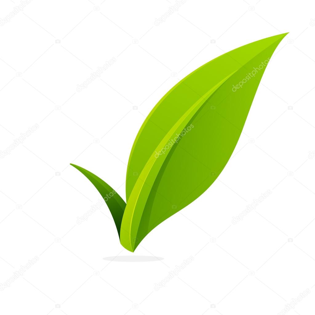 V letter or check mark, verification Eco logo, design template elements