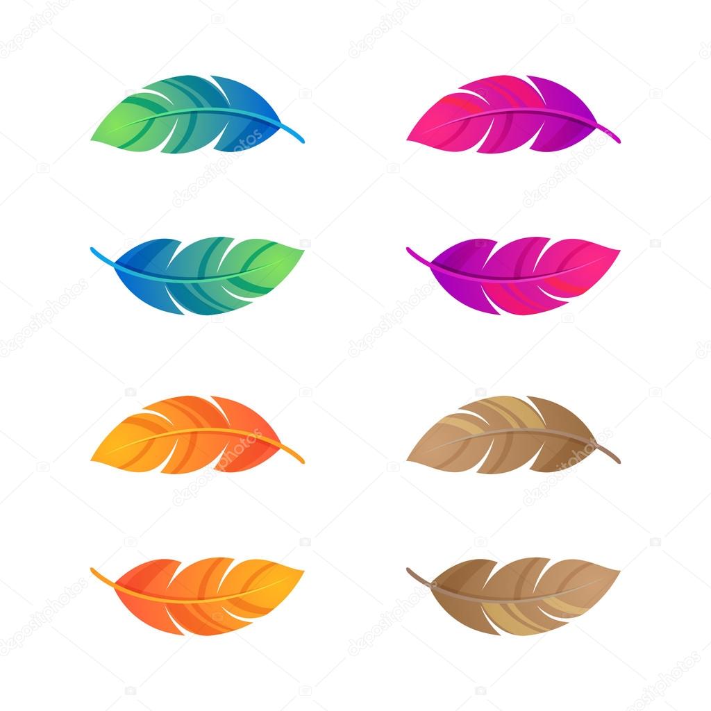 Colorful feathers set, vector design template.