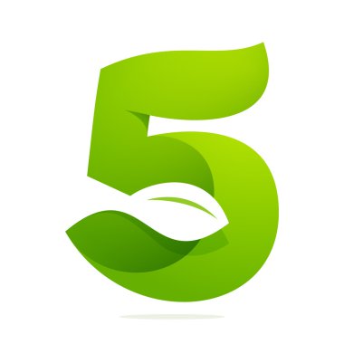 5 numaralı tasarım şablonu