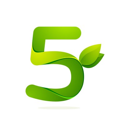 5 numaralı tasarım şablonu