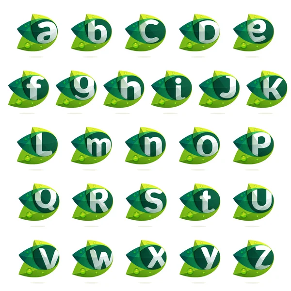 Buchstaben mit Blättern und Tropfen — Stockvektor