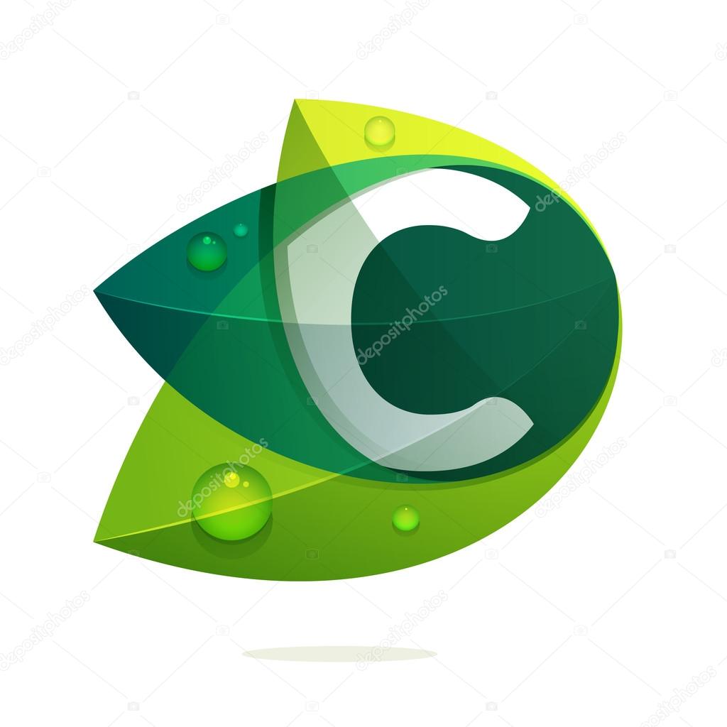 C letter with green leaves and dew drops. Vector design template elements