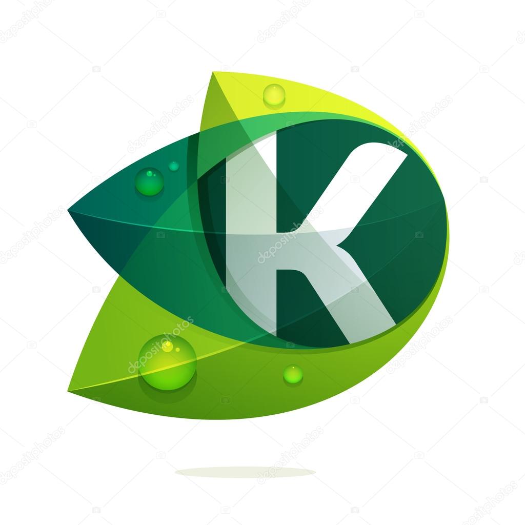 K letter with green leaves and dew drops. Vector design template elements