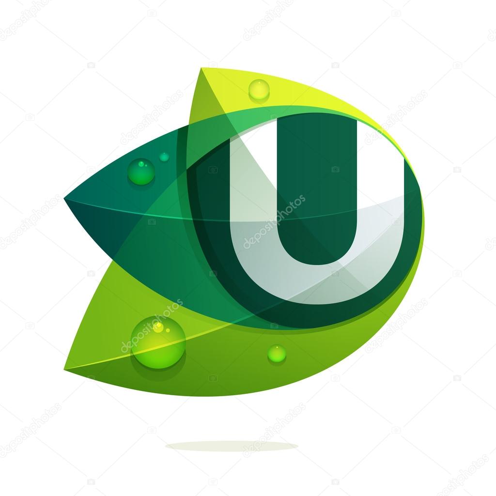 U letter with leaves and drops