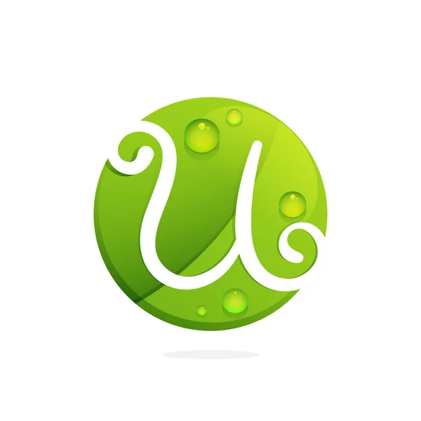 U letter with green leaves and dew drops. — Stock Vector