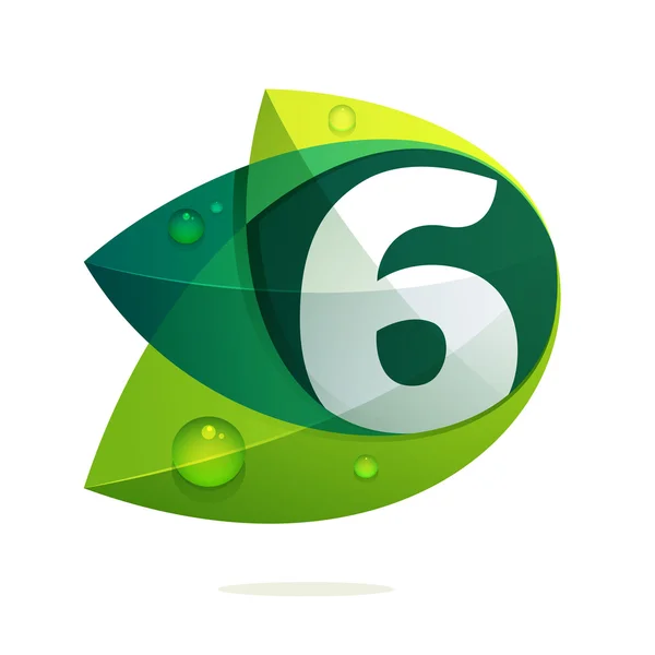Number six with green leaves and dew drops. — Stock Vector