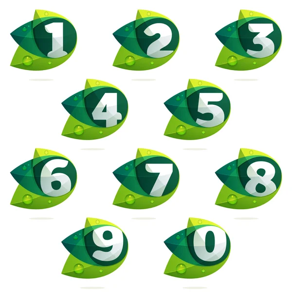 Numbers set with green leaves and dew drops. — Stock Vector