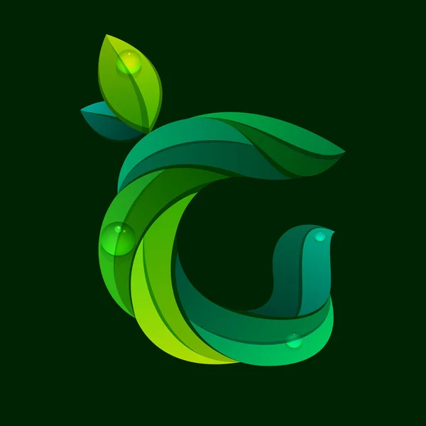 緑の葉によって形成された G 文字ロゴ. — ストックベクタ