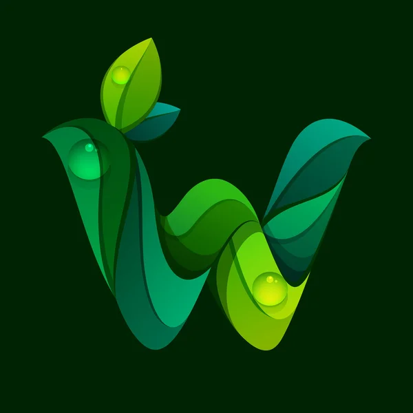 緑の葉によって形成される W 文字ロゴ. — ストックベクタ