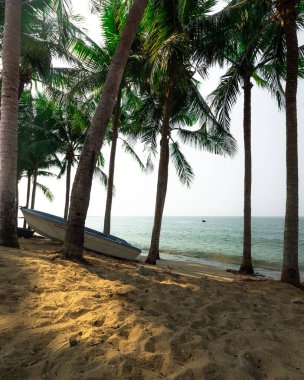 lonely palm beach with fishing boat in thailand