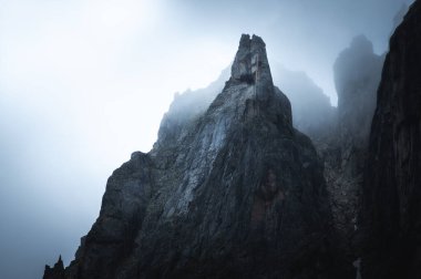Sibirya Burya 'da alçak bulutlu kasvetli dağ otları