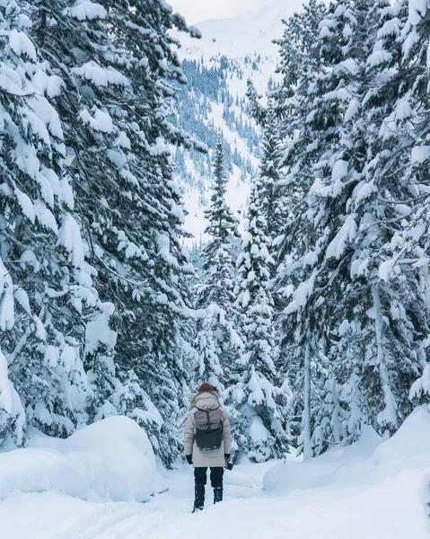 Une Personne Assise Sur Des Rochers Regardant Océan — Photo