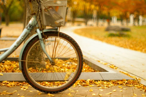 Roda Bicicleta Parque Outono — Fotografia de Stock