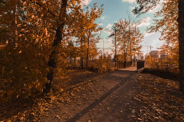 Puente Parque Otoño Ciudad — Foto de Stock