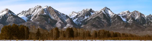 Extra High Resolution Picture Landscape Mountains Forest Long Horizontal Orientation — Stock Photo, Image