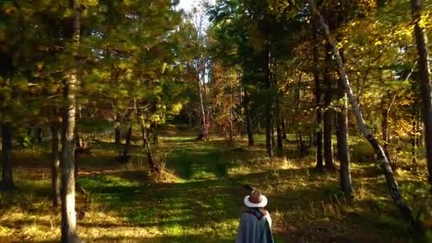 Persona Cappello Poncho Passeggiando Nel Parco Autunnale — Video Stock