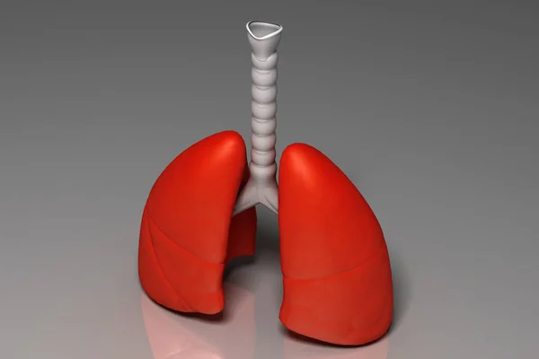 Cyfrowa Ilustracja Płuc Kolorowym Tle — Zdjęcie stockowe