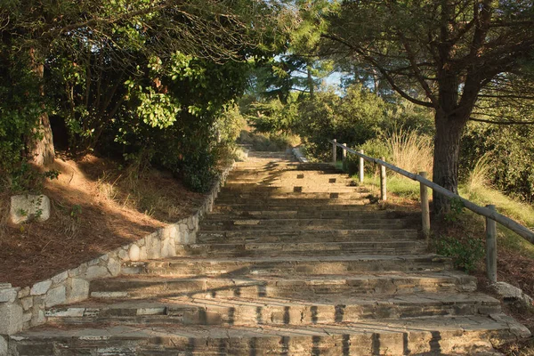 stone staircase with wooden handrail in the forest